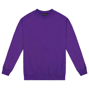 Hoodie Purple / S Standard Crew Sweater